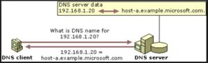 Reverse DNS look up