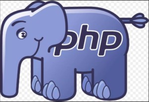 Guida al linguaggio di programmazione server side PHP